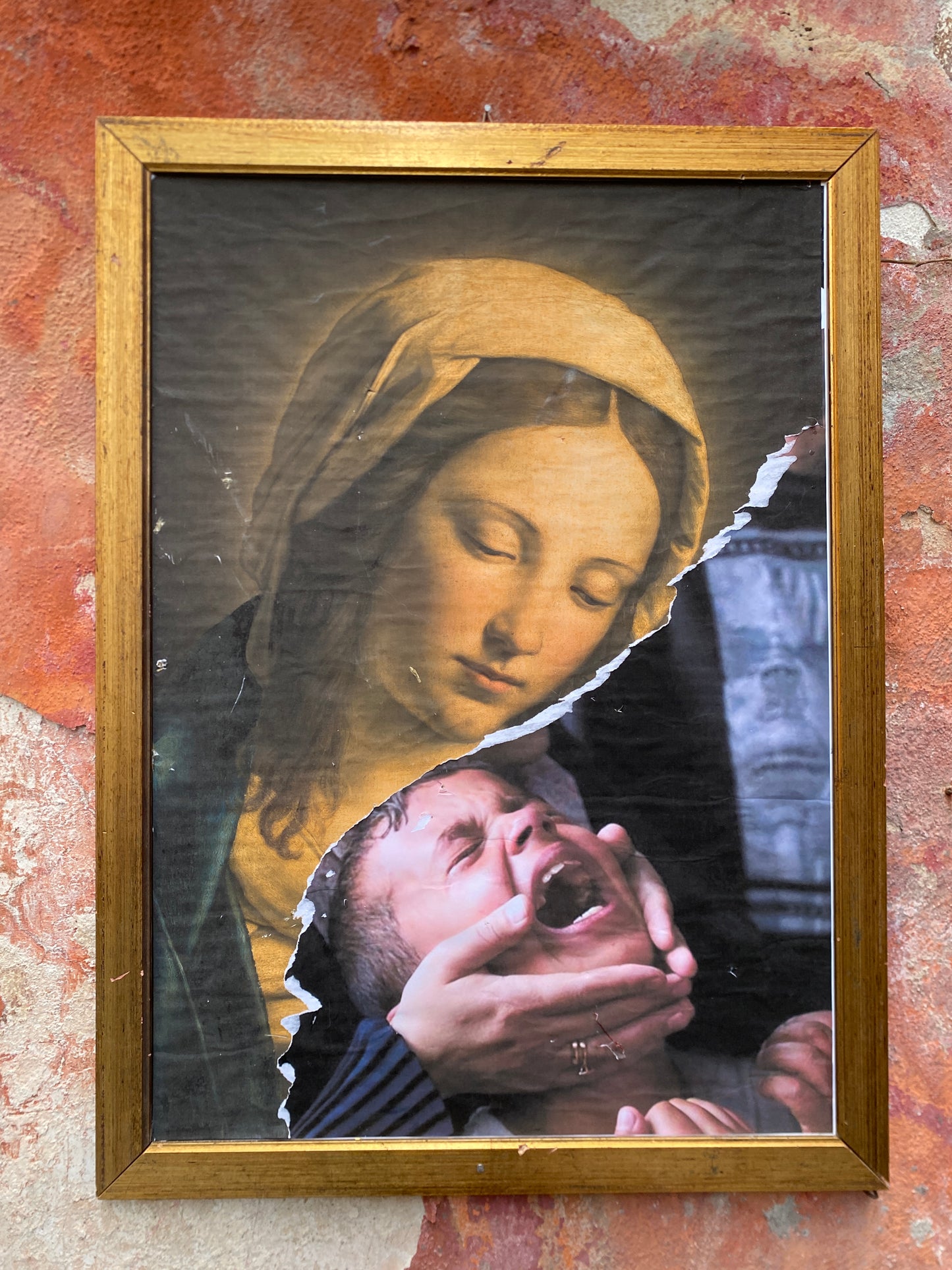 Holy Mothers of Gaza Box Edition */150
