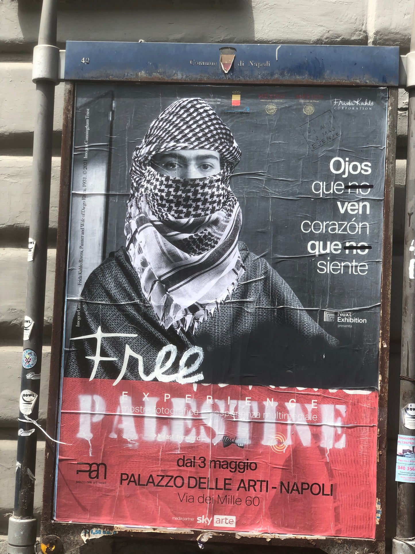 Free Da Palestine - Limited Edition */05